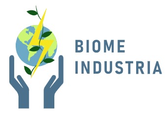 WhatsApp Image 2025-07-11 at 4.52.04 PM (1)